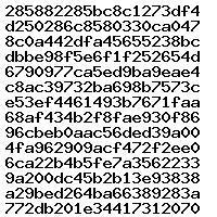 0281016306 1037564551