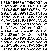 04L907309R 1037554932