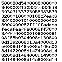 0281011453 1037369901