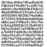 028108375 1037558538