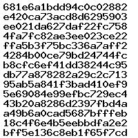 04L907309L 10SW005573 04L907309L 10SW005573