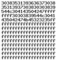 0281017517 1037522658 0281017517 1037522658