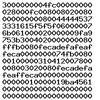 0281019500 1037525051