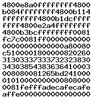  1037390905