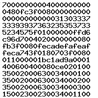 0281016069 1037399762