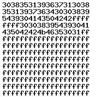 0281016175 1037522660 0281016175 1037522660