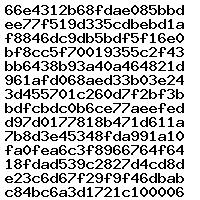 0281019401 1037529261