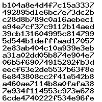 0281016398 1037561759