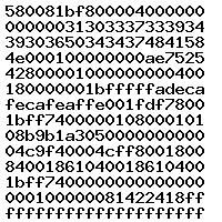 0281013437 1037394906