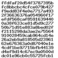 0281017946 1037525579