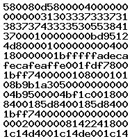 0281011982 1037371877