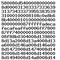 0281011479 1037369174