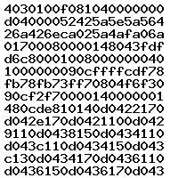 0281010732 1037368185