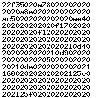 0261204457 1037359876 0261204457 1037359876